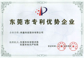 In 2015, Dongguan Patent Advantage Enterprise
